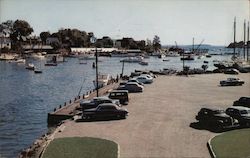 Looking Out to the Sea Past Curtis Island from the Public Landing Camden, ME Postcard Postcard Postcard