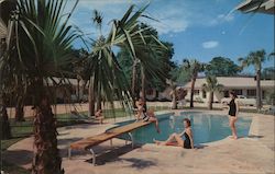 Swimming Pool at Palms Hotel and Restaurant Postcard