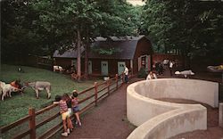 Thompson Park Zoo Postcard