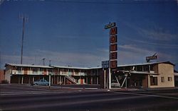 Safari Motel Postcard