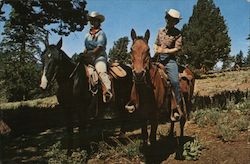 Fair Riders - Two women on Horseback Pinecrest, CA Postcard Postcard Postcard