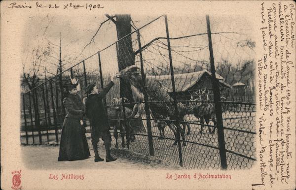 Les Antilopes - Le Jardin d'Acclimation France