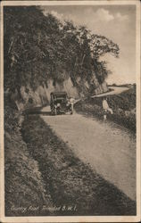 A Country Road in Trinidad Caribbean Islands Postcard Postcard Postcard