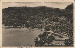 Port of Spain, Trinidad Postcard