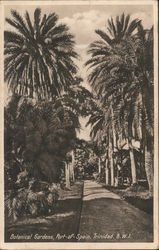 Botanical Gardens Port-of-Spain, Trinidad Caribbean Islands Postcard Postcard Postcard