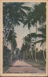 Road scene in Trinidad Postcard