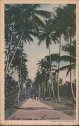 Road scene in Trinidad Postcard Postcard Postcard