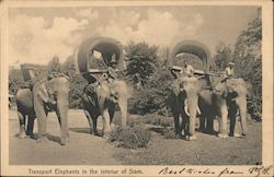 Transport Elephants in the interior of Siam Postcard