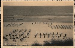 TB Préventorium Marin de Klemskerke-Sur-Mer Postcard