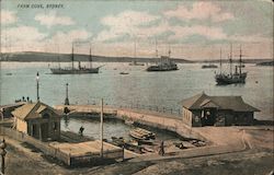 Farm Cove - Sydney Postcard