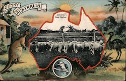 Sunny Australia - Sheep Station Postcard Postcard Postcard