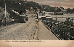 Mosman Sidney Sydney's most popular marine suburb Postcard