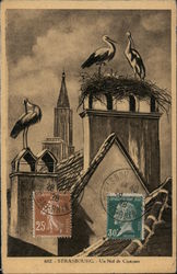 Storks Postcard