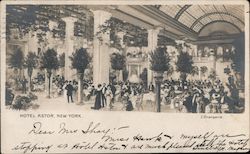 Hotel Astor, New York Postcard