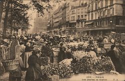 Les Halles le Matin Postcard