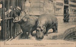 Au Jardindes Plantes - Kako, dit le Terrible Postcard