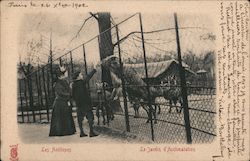 Les Antilopes - Le Jardin d'Acclimation Postcard