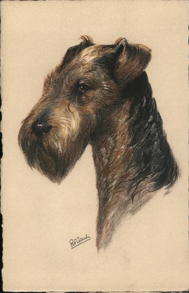 Airedale Terrier Dogs
