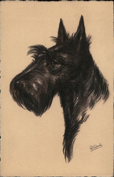 Scottish Terrier Scottish Terriers