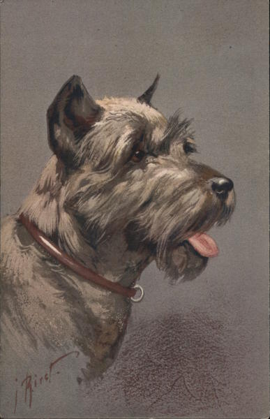 Artist Rendering of a Schnauzer Dogs