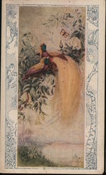 Animal - The Bird of Paradise Trade Card