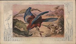 Blue Winged Parrot Collector Card From Schulze Baking Company Trade Card