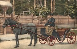 A Horse Pull a Carriage With a Man Inside Postcard