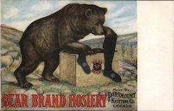Bear Brand Hosiery Made by Paramount Knitting Co Chicago, IL Advertising Postcard Postcard Postcard