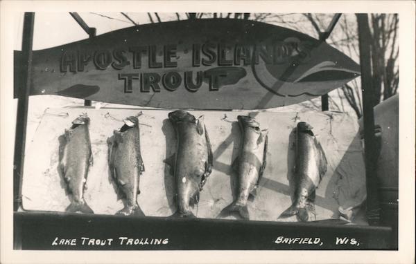 Lake Trout Trolling Bayfield Wisconsin