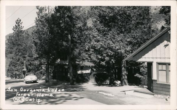 San Gorgonia Lodge Forest Home California