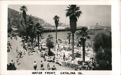 Water Front Postcard