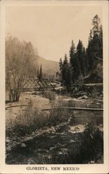 Scenic View Postcard