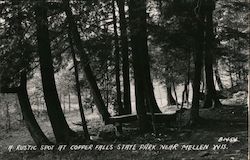 A Rustic Spot At Copper Fall's State Park Postcard