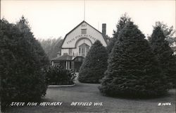 State Fish Hatchery Postcard