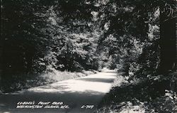 Lobdel's Point Road Washington Island, WI Postcard Postcard Postcard