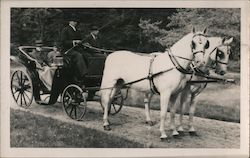 Cart with Horses and passengers Postcard