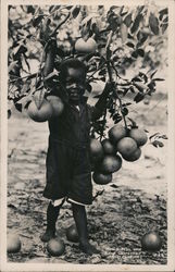 Little Black Boy with Grapefruit Tree Branch Florida Black Americana Postcard Postcard Postcard