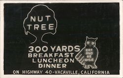 Nut Tree Neon Sign Postcard