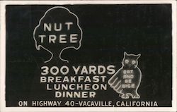 Nut Tree Neon Sign Vacaville, CA Postcard Postcard Postcard