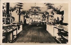 The Gun Store J.B. Chambers Proprietor Klamath Falls, OR Postcard Postcard Postcard