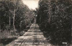 Scene Down Country Road Postcard