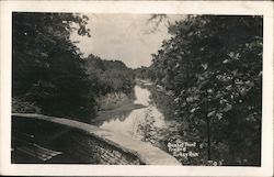 Sunset Point, Trail #6, Turkey Run Postcard