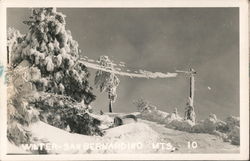 Winter San Bernardino Mountains Postcard