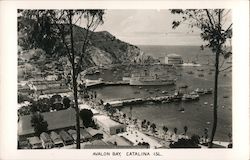 Avalon Bay Santa Catalina Island, CA Postcard Postcard Postcard