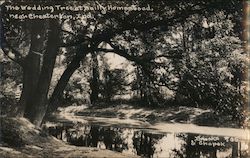 The Wedding Tree at Baily Homestead Chesterton, IN Postcard Postcard Postcard