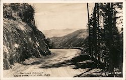 Skyland Highway Great Smoky Mountains National Park Postcard