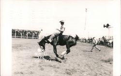 Cowboy Riding Bucking Bronco Postcard