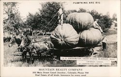 Pumpkins are Big Grand Junction, CO Exaggeration Postcard Postcard Postcard