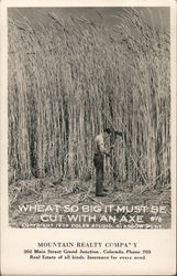 Wheat So Big It Must Be Cut With An Axe #16 Postcard