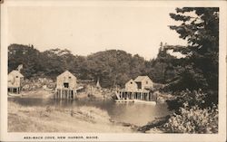 Back Cove New Harbor, ME Postcard Postcard Postcard